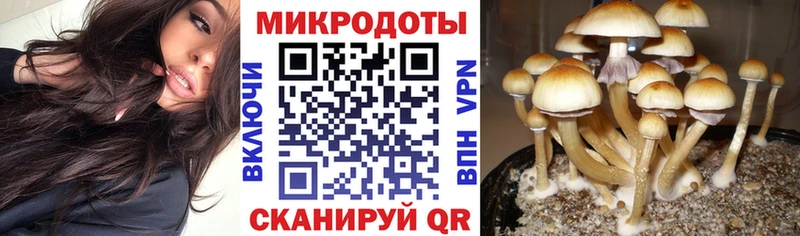 OMG маркетплейс  Арамиль  Псилоцибиновые грибы Magic Shrooms 