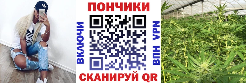 Конопля Amnesia наркошоп Арамиль
